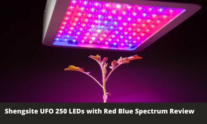 Shengsite UFO 250 LEDs with Red Blue Spectrum Review