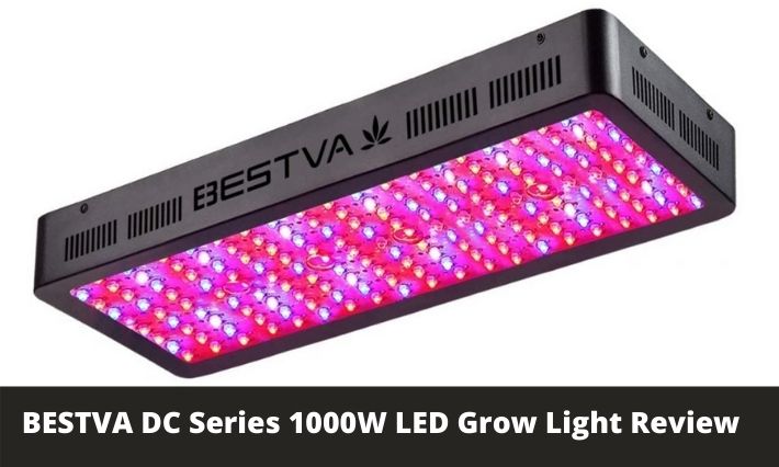 BESTVA DC Series 1000W LED Grow Light Review