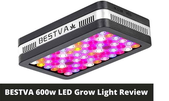 BESTVA 600w LED Grow Light Review