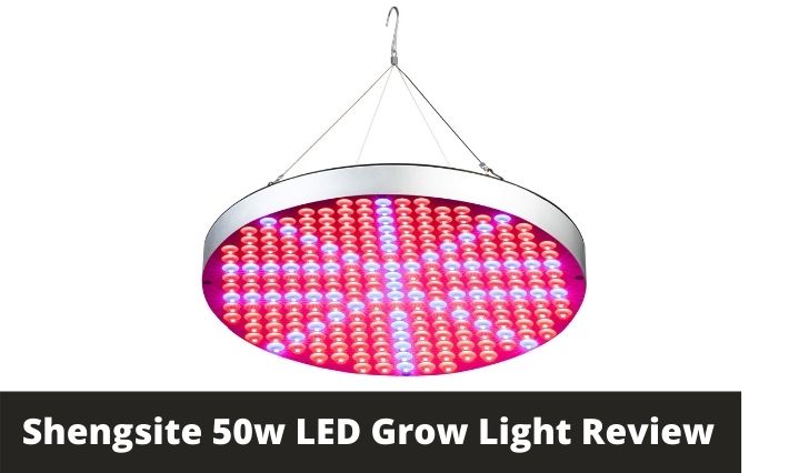 Shengsite 50w LED Grow Light Review