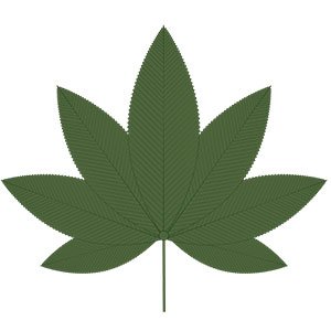 Indica Leaf