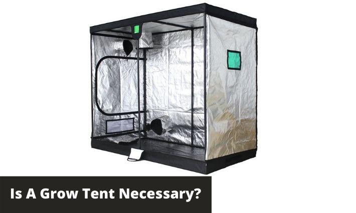 Is a grow tent necessary