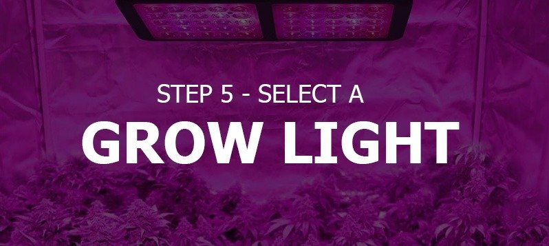 Choose a grow light