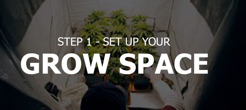 Set Up Your Grow Space