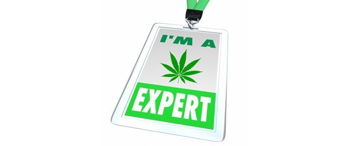 Customer Service Best Practices Things A Budtender Should Know 