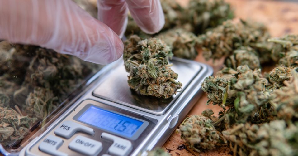 How To Use Scales 13 Things A Budtender Should Know