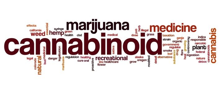 Marijuana Vocabulary Things A Budtender Should Know