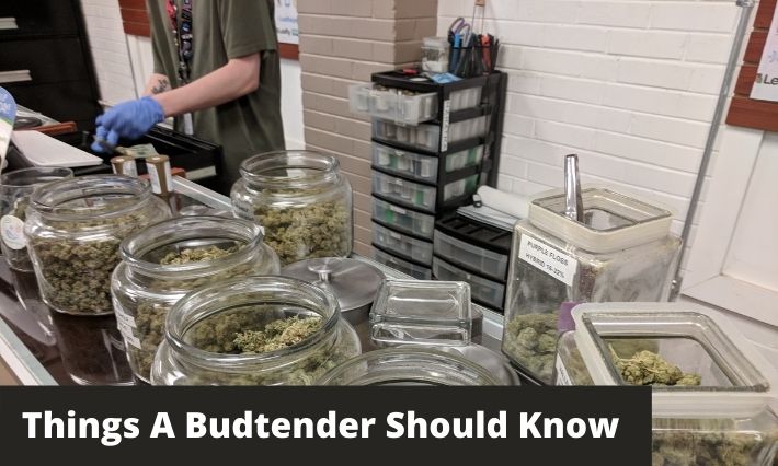 things a budtender should know