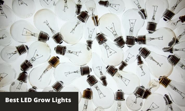 best led grow lights