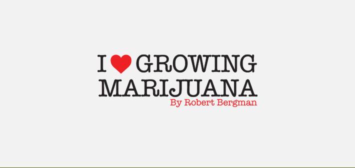 I Love Growing Marijuana Seed Bank