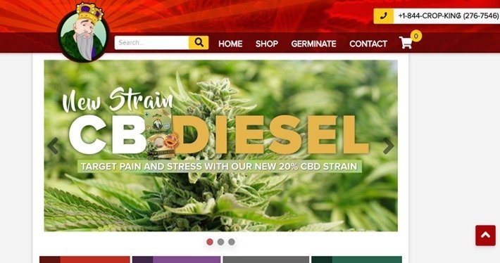 Cannabis Affiliate Programs - Crop King Seeds Affiliate Program