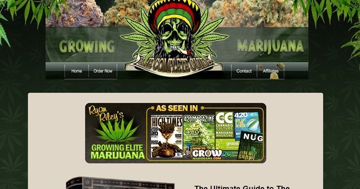 Cannabis Affiliate Programs - How to Grow Weed 420