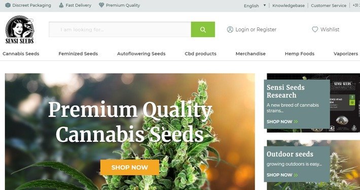 Cannabis Affiliate Programs - Sensi Seeds Affiliate Program