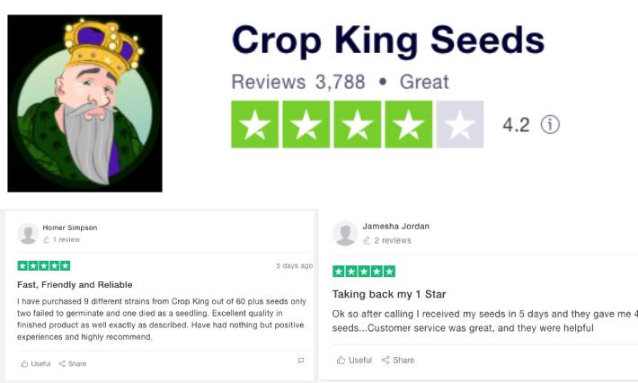 Crop King Seeds Reviews