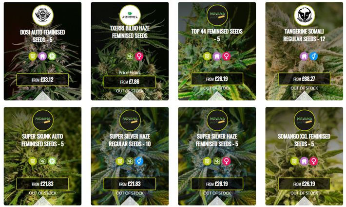 Seedsman Strains