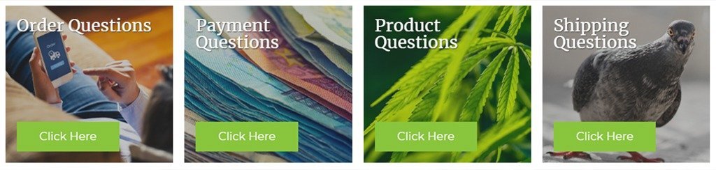 FAQ Sensi Seeds Bank Revew