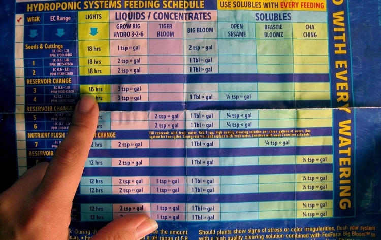 Marijuana Feeding Schedule