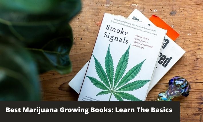 best marijuana growing books