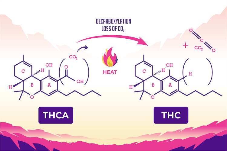 Illustration Of Decarboxylation