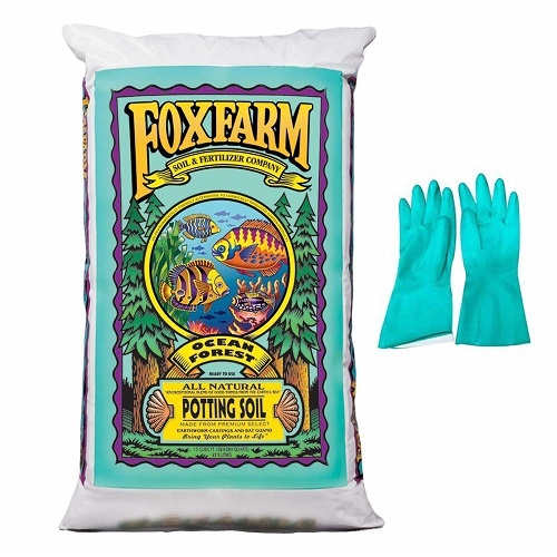 FoxFarm Ocean Forest Potting Soil Organic Mix