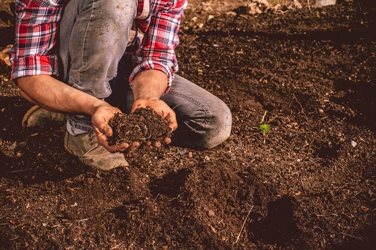 Holding Soil In Hands