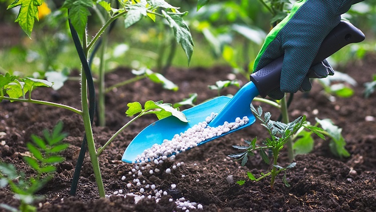 Cannabis Fertilizer