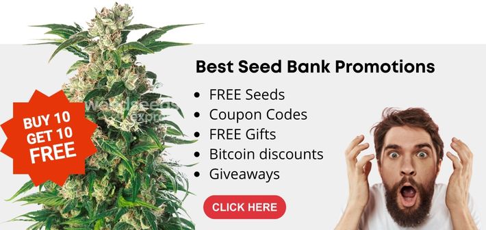 Seed Bank Promotions