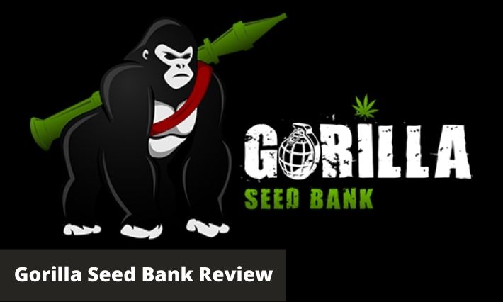 gorilla seed bank review