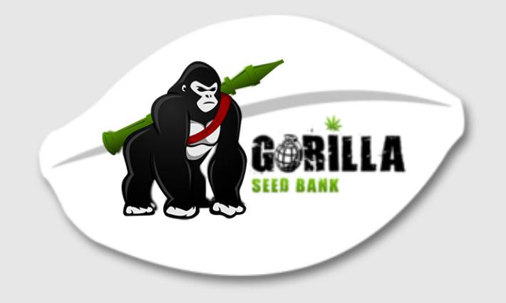 Gorilla Seed Bank Review About