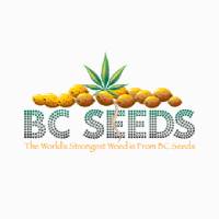 BC Seeds