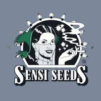 Sensi Seeds