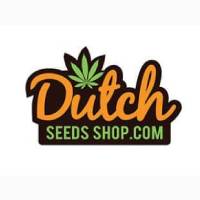 Dutch Seeds Shop