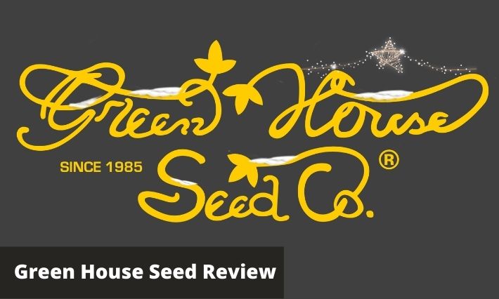 green house seed review