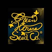 Green House Seeds