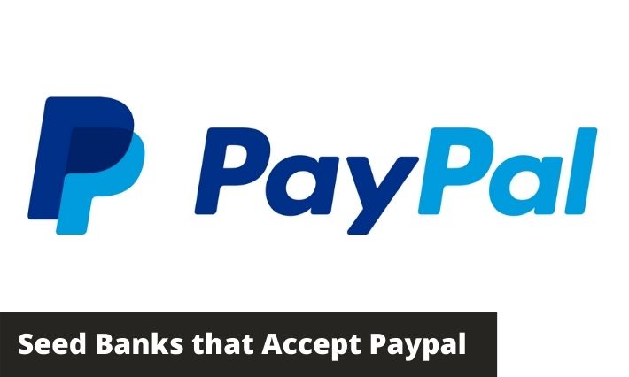 seed banks that accept paypal