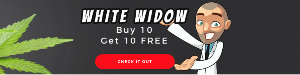 buy 10 get 10 free