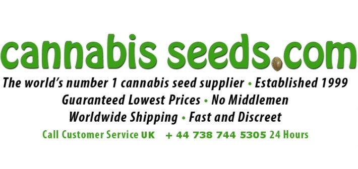 about cannabis seeds