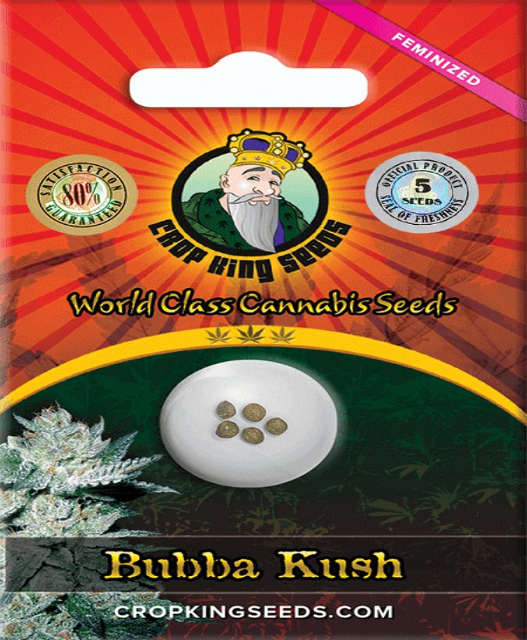 bubba kush feminized seeds crop king seeds