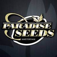 Paradise Seeds