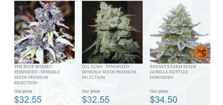 sensible seeds strains