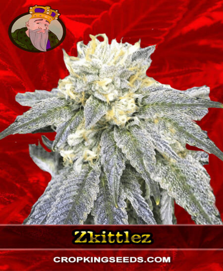zkittlez feminized seeds cropkingseeds 1