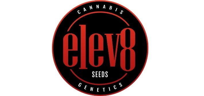 about elev8 seeds