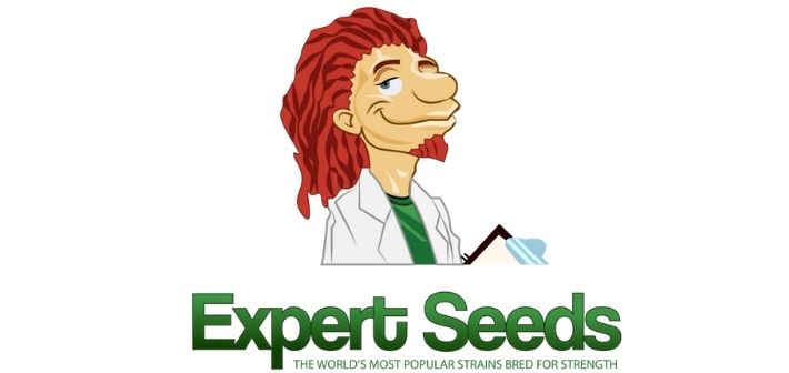 about expert seeds