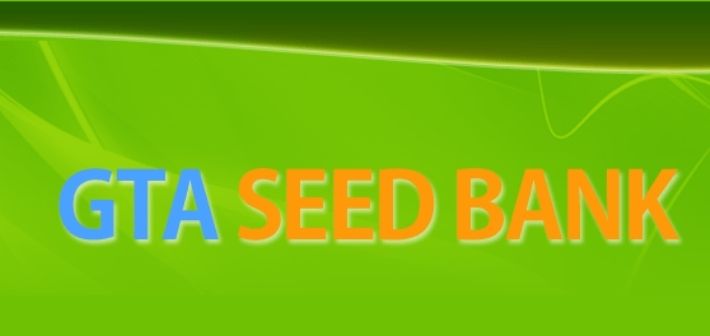 about gta seedbank