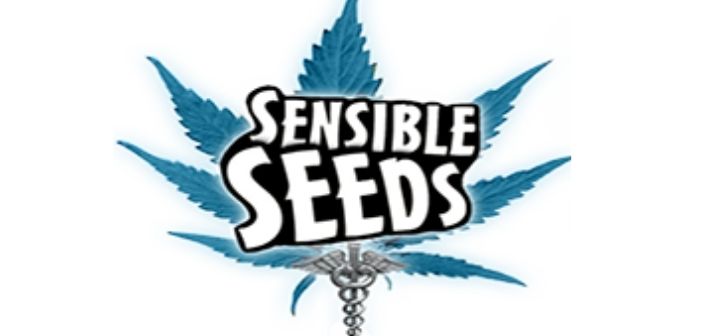 about sensible seeds