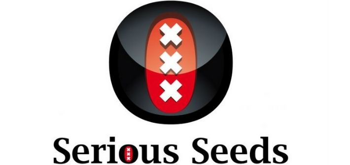 about serious seeds