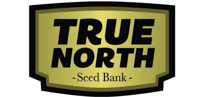 about true north seeds