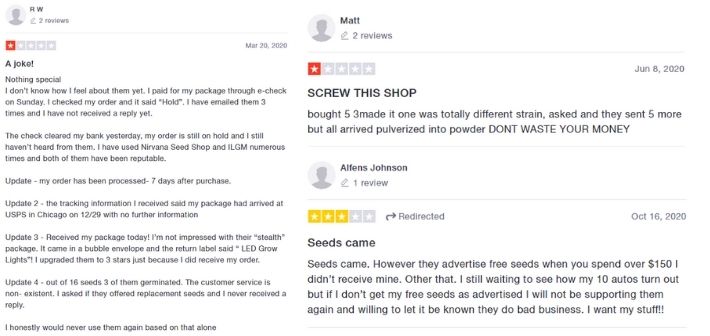 dutch seeds shop reviews