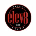elev8 seeds