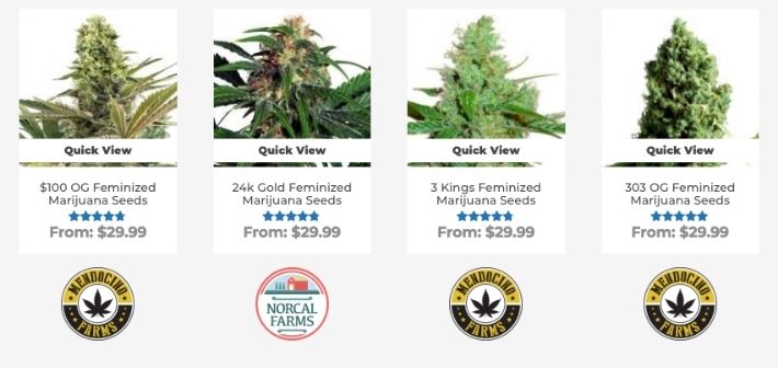 Pacific Seed Bank Strains